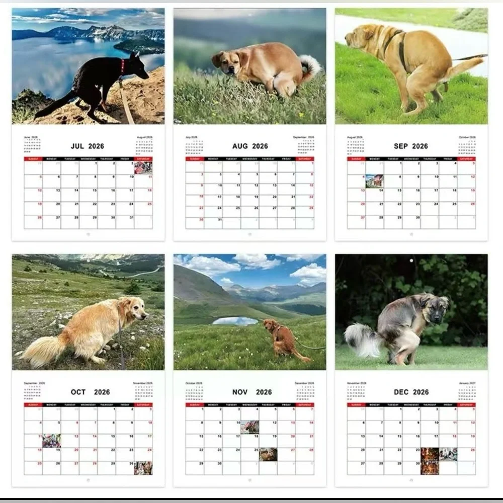 2026 Dog Calendar - Dogs Pooping in Beautiful Places